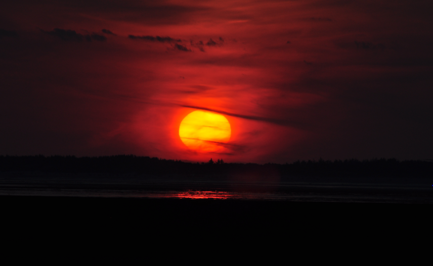 sunrise2014.jpg